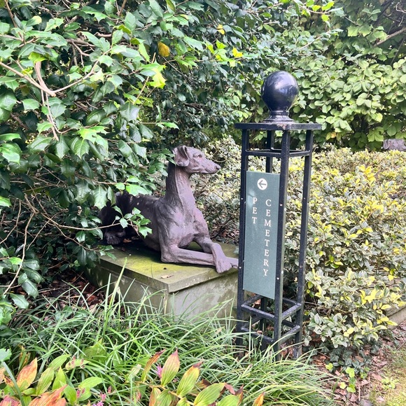 Meet your Posher, Amy - Picture 5 of 16